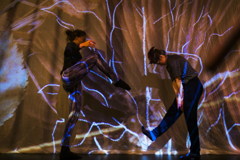 Bestand:Labotanik theater-de-spiegel.jpg