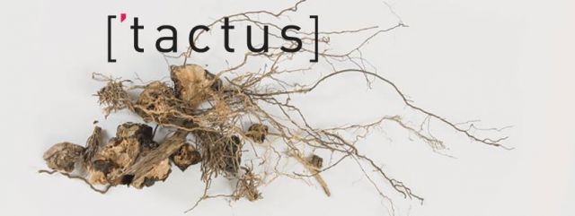 Bestand:Tactus - 0053300.jpg