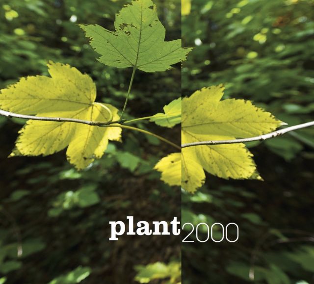 Bestand:2000PlantCDalbumscan - 0050859.jpg