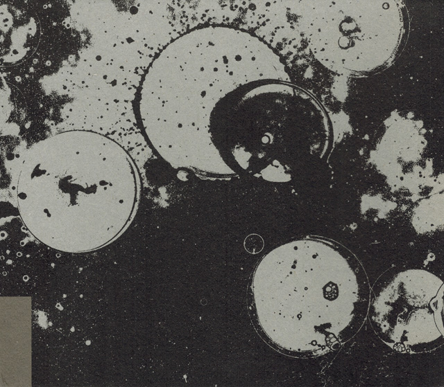 Bestand:BrainChildBrainChildCDalbumscan - 0051635.jpg