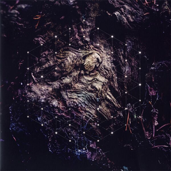 Bestand:PsychonautUnfoldthegodmanVinylLPalbumscan - 0049140.jpg