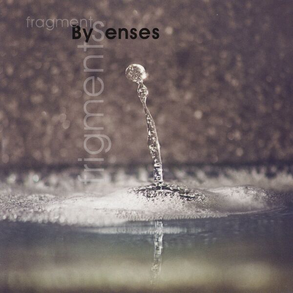 Bestand:BySensesFrigmentsFragmentsCDalbumscan - 0041374.jpg