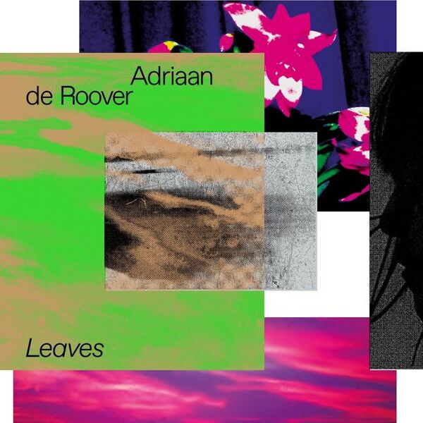 Bestand:AdriaanDeRooverLeavesCDalbumscan - 0049373.jpg