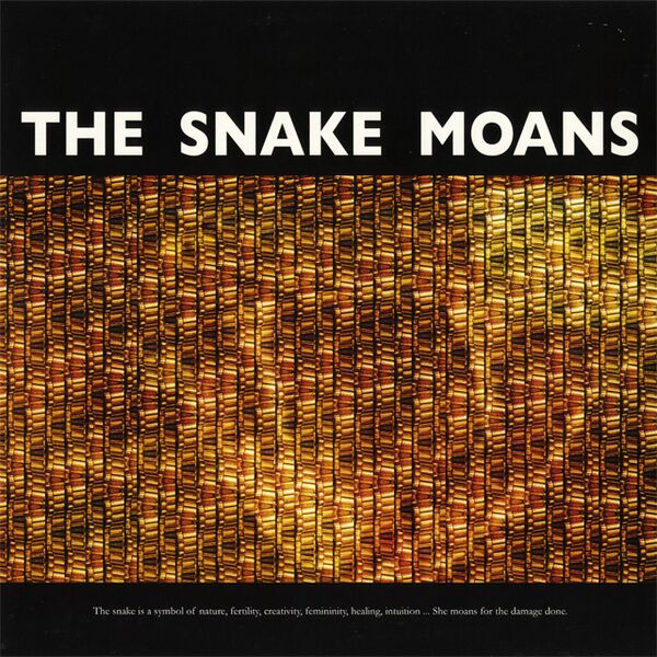 Bestand:TheSnakeMoansThehissinglinkVinylLPalbumscan - 0050398.jpg
