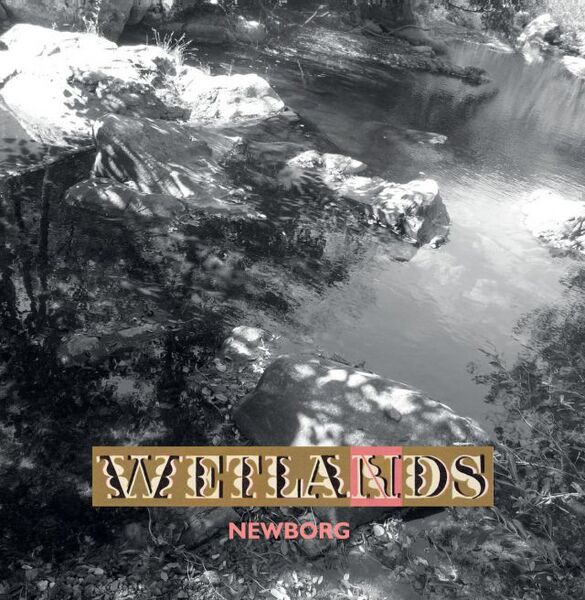 Bestand:NewborgWetlandsVinyl10albumscan - 0047540.jpg