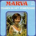 Miniatuurafbeelding voor de versie van 17 mrt 2024 21:53