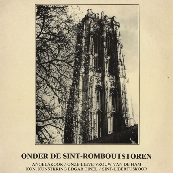 Bestand:DiverseuitvoerdersOnderdeSintRomboutstorenVinylLPalbumscan - 0049747.jpg