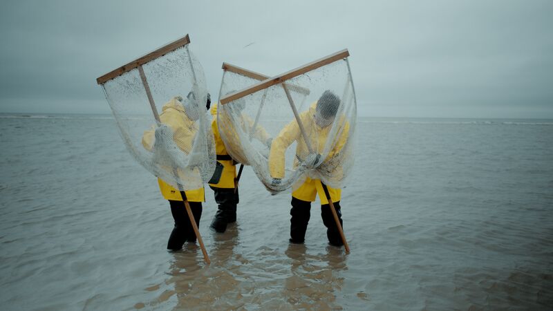 Bestand:Titel-PÊCHE-©LuzieKurth.jpg