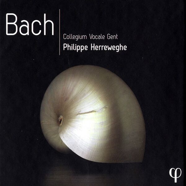 Bestand:CollegiumVocaleGentPhilippeHerrewegheBachCDalbumscan - 0052496.jpg
