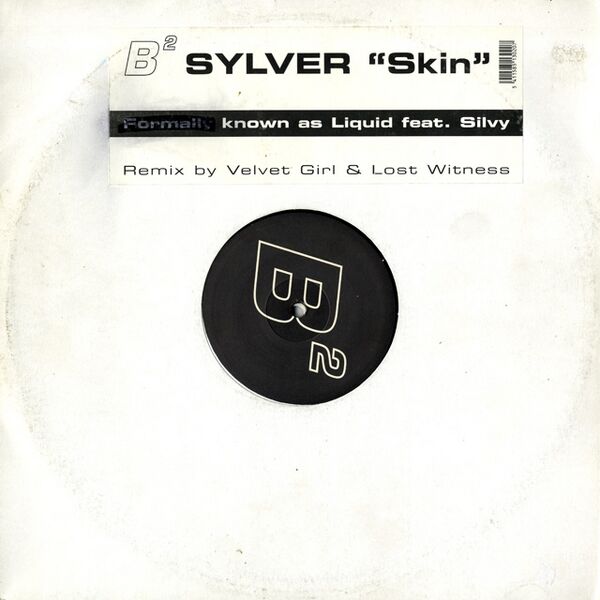 Bestand:SylverSkin12vinylsinglescan - 0041022.jpg
