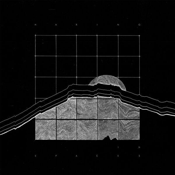 Bestand:HaringInspacesVinylLPalbumscan - 0046317.jpg