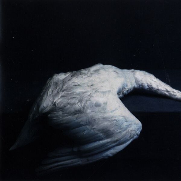Bestand:AmenraMassVICDalbumscan - 0046951.jpg