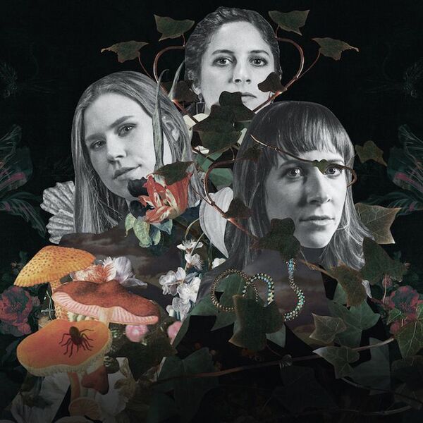 Bestand:CozinZwartehemelcdalbumscan - 0052388.jpg