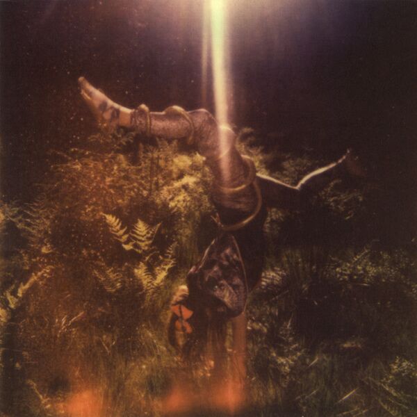 Bestand:OrphanFairytaleCometscomealiveVinylLPalbumscan - 0037033.jpg
