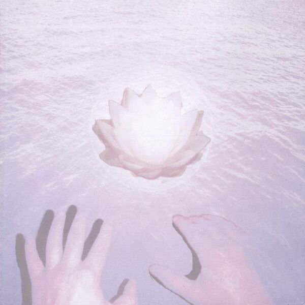 Bestand:DolphinsintothefutureThemusicofbeliefCDalbumscan - 0028854.jpg