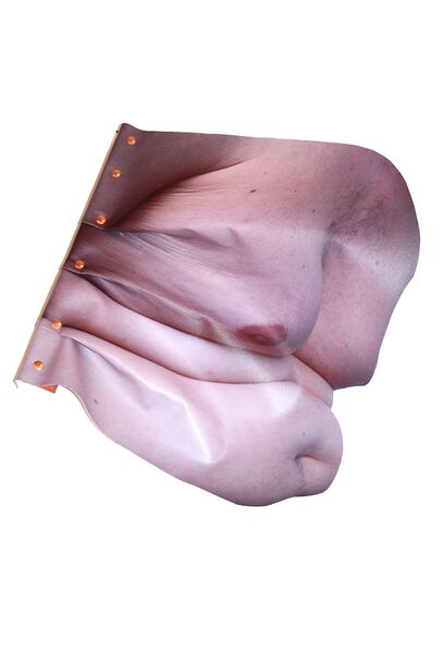 Bestand:' Lean To roof' Elke Desutter.jpg