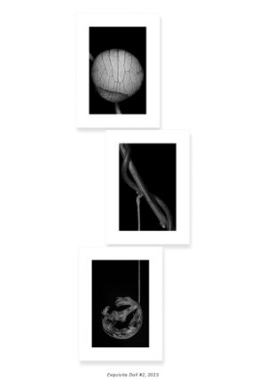 3 Exquisite Doll 3.jpg