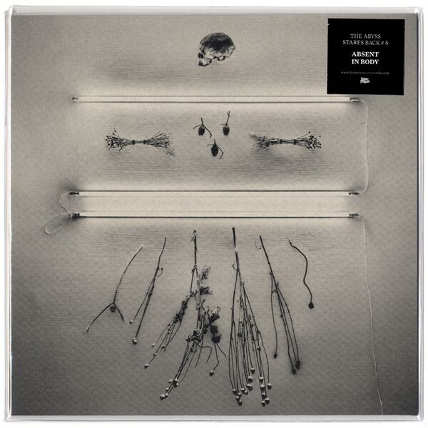 Bestand:AbsentInBodyTheAbyssStaresBack5Vinyl12EPscan - 0047126.jpg