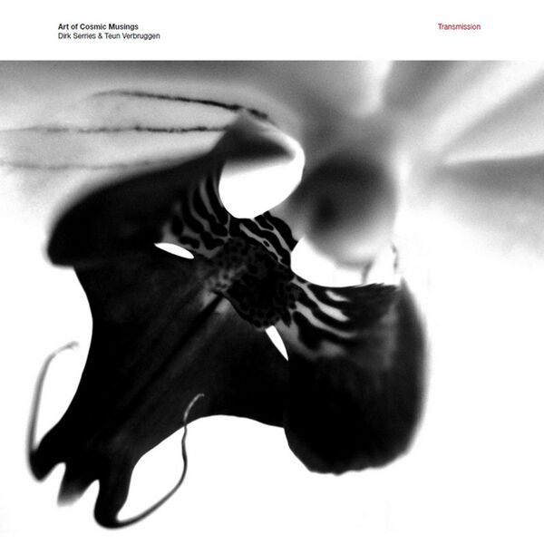 Bestand:ArtofCosmicMusingsTransmissionVinylLPalbumscan - 0040317.jpg