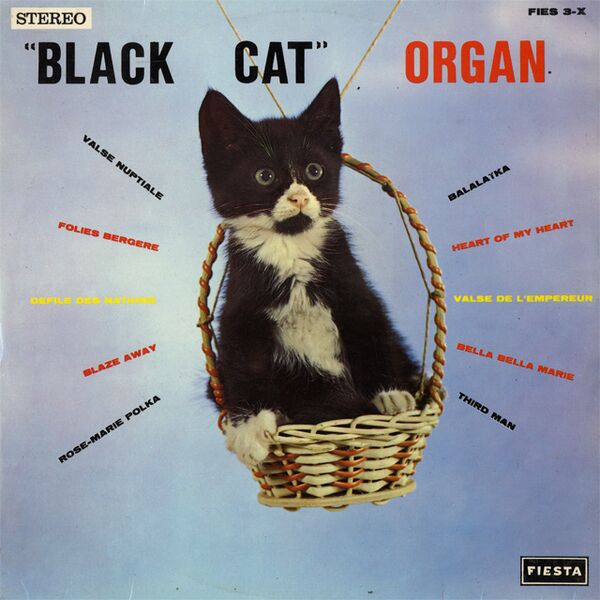 Bestand:BlackCatOrganBlackCatOrganVinylLPalbumscan - 0050008.jpg