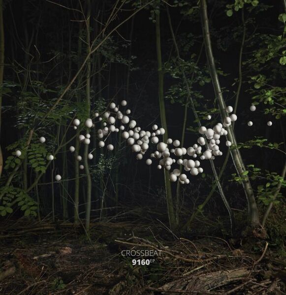 Bestand:Crossbeat9160Vinyl12EPscan - 0041313.jpg