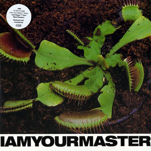 Bestand:DJBertEagleImportIamyourmasterVinyl12singlescan - 0047580.jpg