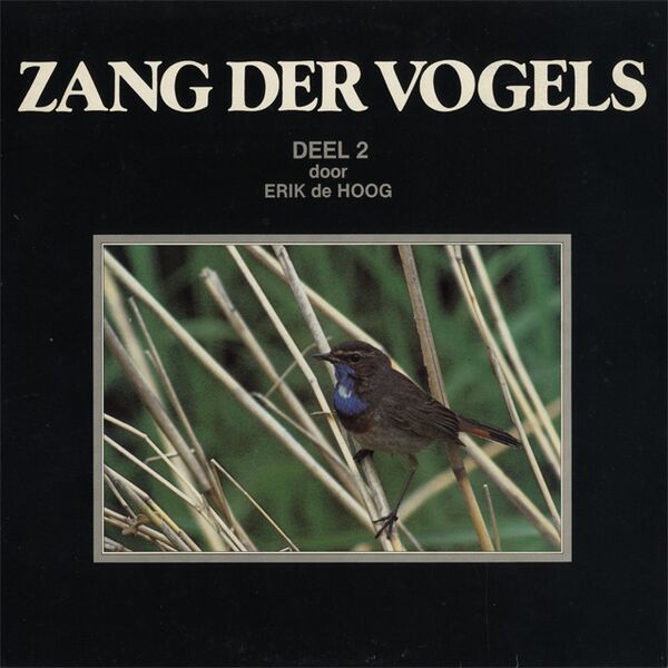 Bestand:DeZangderVogelsDeZangderVogelsDeel2VinylLPalbumscan - 0052148.jpg