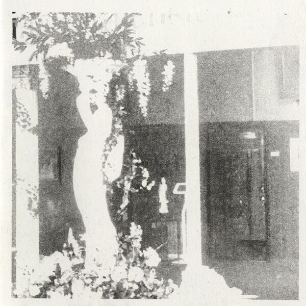 Bestand:DolphinsintothefutureSongsofGoldIncandescentCDalbumscan - 0043731.jpg