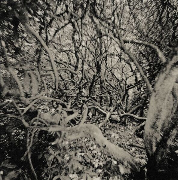 Bestand:Duopour454ChordesDuopour454ChordesCDalbumscan - 0048630.jpg