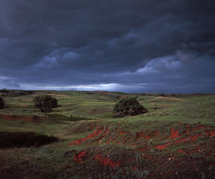 Bestand:ELECTION DAY (2010) .jpg