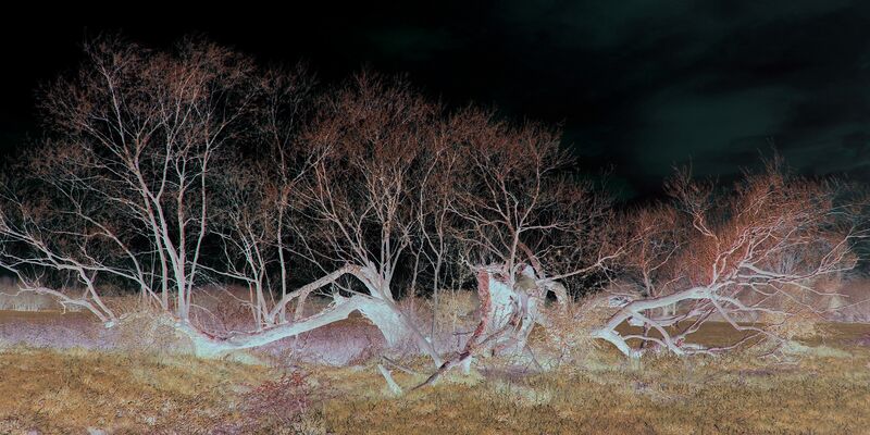 Bestand:Encounters2- fotografie.jpg