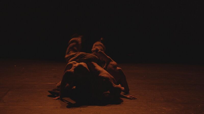 Bestand:FERAL REVERIE.jpg