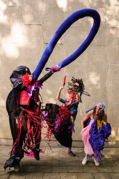 Bestand:Franje tout-petit.jpg