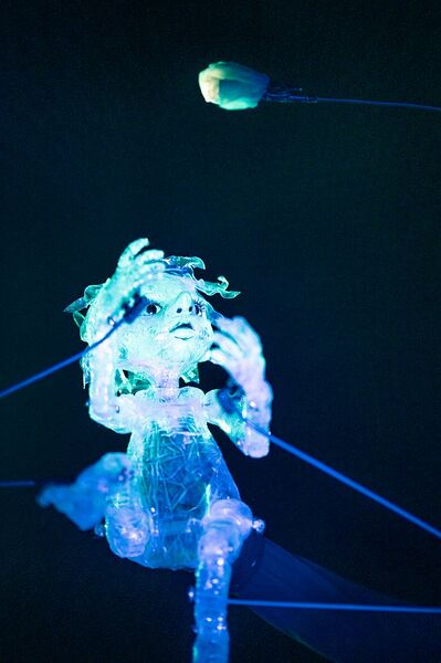 Bestand:Hoosje talenthee.jpg