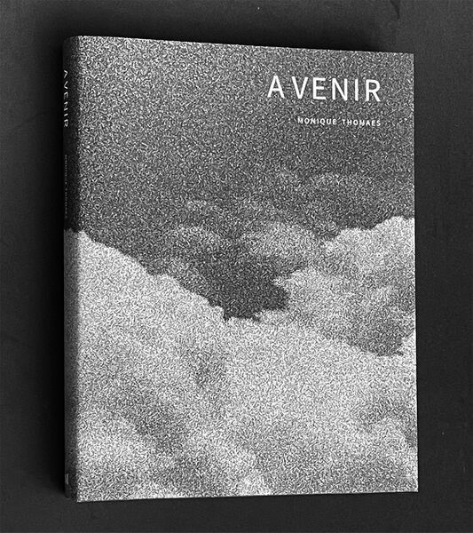 Bestand:IMG 6035 kopie.jpg