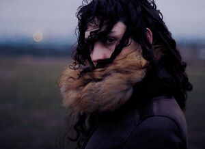 Img 3295.800x582.jpg