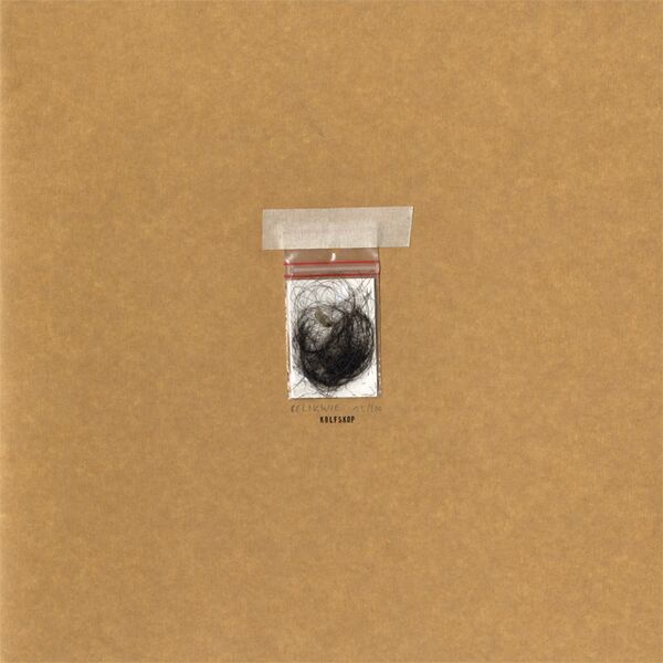 Bestand:KolfskopCambozolaSupersterVinyl12EPscan - 0046516.jpg