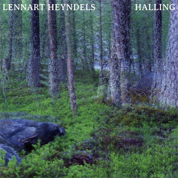 Bestand:LennartHeyndelsHallingVinylLPalbumscan - 0050581.jpg