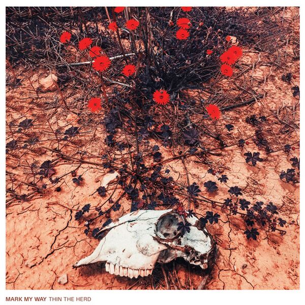 Bestand:MarkMyWayThintheherdCDalbumscan - 0050817.jpg