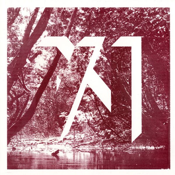 Bestand:NibiruCariPajarVinyl12EPscan - 0052298.jpg