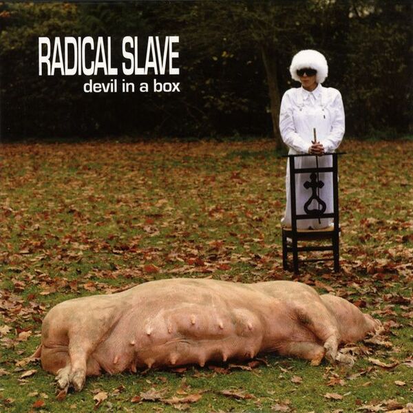 Bestand:RadicalslaveDevilinaboxCDsinglescan - 0032870.jpg