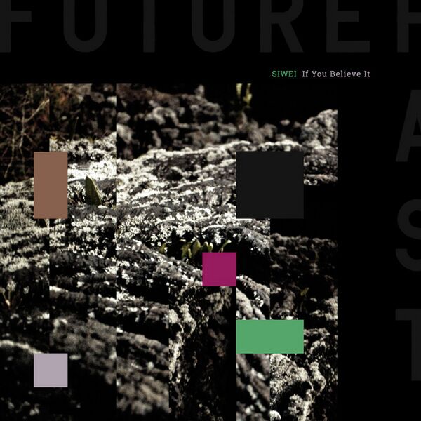 Bestand:SiweiIfyoubelieveitVinyl12EPscan - 0051387.jpg