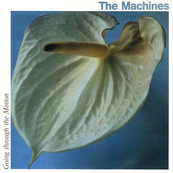 Bestand:TheMachinesGoingtroughthemotionVinyl7Singlescan - 0029080.jpg