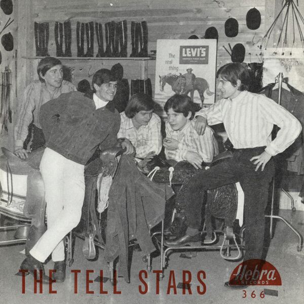 Bestand:TheTellstarsIwanttosingVinyl7singlescan - 0037271.jpg