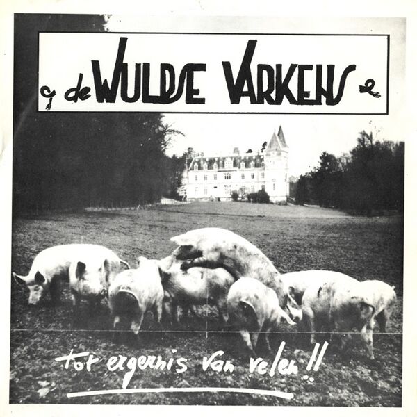 Bestand:WulpseVarkensTotergernisvanvelenVinyl7Scan - 0008983.jpg