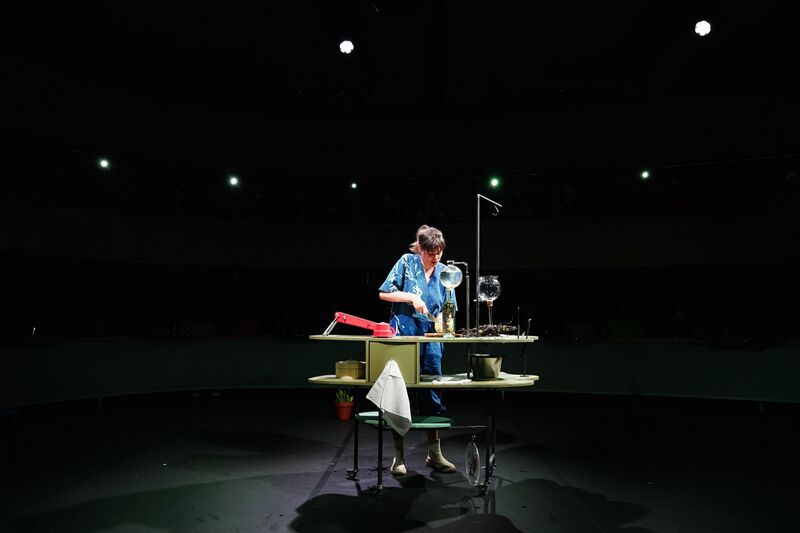 Bestand:Zeemaal sien vanmaele.jpg